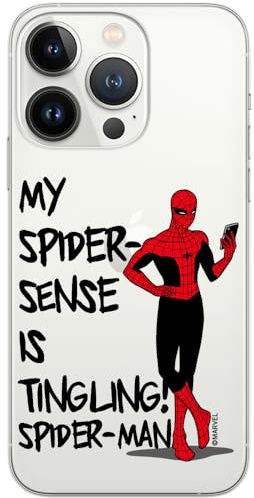 ERT GROUP mobile phone case for Iphone 13 PRO original and officially Licensed Marvel pattern Spider Man 024 optimally adapted to the shape of the mobile phone, partially transparent