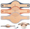 SUPER KITCHEN 3PCS 2-Size 24cm&21cm Silicone Bread Sling for Dutch Oven with Extra Wide and Long Handles, Non Stick Sourdough Sling for Transfer Sour Dough, Bread Mat for Baking (Grey,Dark Grey,Brown)