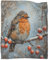 DCABEIOOE Robin 3D Bedruckte Decke Bettwäsche Flauschige Decke