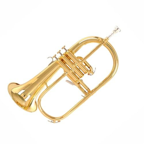 Standard Trompeten B-Trompete Musikinstrument Anfänger Tragbare Trompete Langlebige Trompete Aus Edelstahl(Gold)