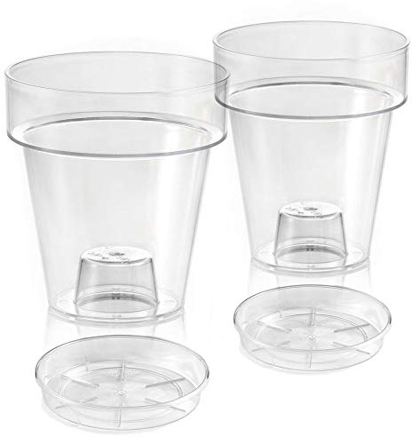 Teraplast Vaso trasparente Porto con supporto per orchidee, diametro 14 cm, set con piattino