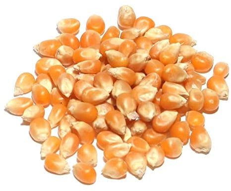 A Kilo of Spices: Popcorn Seeds - Premium quality (1kg)