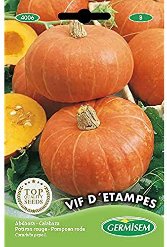 Germisem Vif D 'Etampes Semillas de Calabaza 3 g (EC4006)
