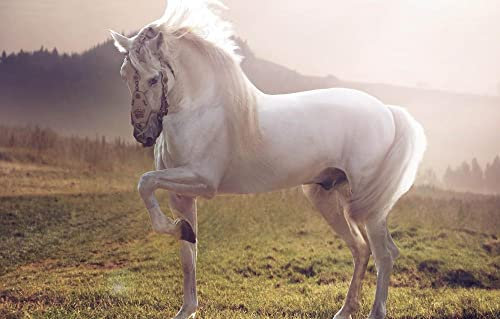 LHJOY Rätsel Puzzle 3D Puzzle 1000 Teile Pferd 75X50Cm