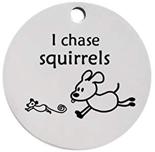 Hundemarke Personalisiertes Muster Kleiner Haustierhund-ID-Tag Metall Edelstahl runde gravierte Tags für große Hunde Haustier-ID-Marke (Color : E i Chase Squirrels, Size : L)