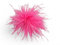 Brosche Anstecknadel Klammer Haarklammer Blume Straußenfedern Strauß Feder Stoff Pink