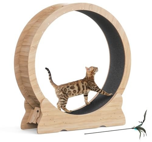Mondeer Ruota per gatti, 110 cm, XL, tapis roulant con tappeto rimovibile e teaser per gatti, per corsa, camminata e allenamento (legno naturale)