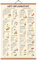 ZDFDC Affiche de Cuisine - anti-inflammatoire nourriture, Plan de repas，Aliments Sains - Tableau Décoratif, Peinture Murale Sur Toile Format A2, Avec Cadre en Teck (65x40cm)