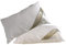 Betten Hofmann 2 Stück Franken Kissen Kopfkissen Nackenkissen 30x50 cm, waschbar, 170 g Füllgewicht, Naturprodukt