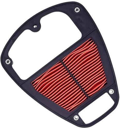 Filtro Aspirazione Aria Moto Per KAWASAKI VN900 Per Vulcan 900 Classic LT Custom 2006-2023 SE Edizione Speciale Moto Filtro Aria E Filtro Olio E Candela Filtro Aria per Moto(Air Filter)