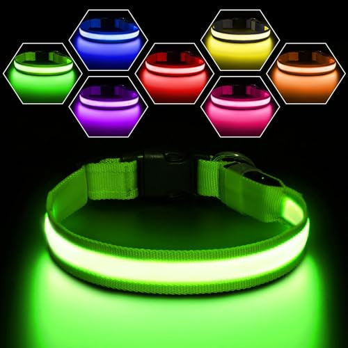 PcEoTllar Leuchthalsband Hund, Leuchtendes Hundehalsband Aufladbar 7 Farben mit 9 Leuchtmodi, LED Halsband für Hunde Wasserdicht, Leuchthalsband für Kleine Mittlere Große Hunde, Grün-M