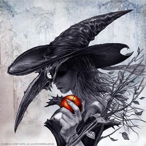 chemstickattack Alchemy Aufkleber kleine Hexe mit Raben/Pestmaske Gothic ca. 10x10 cm