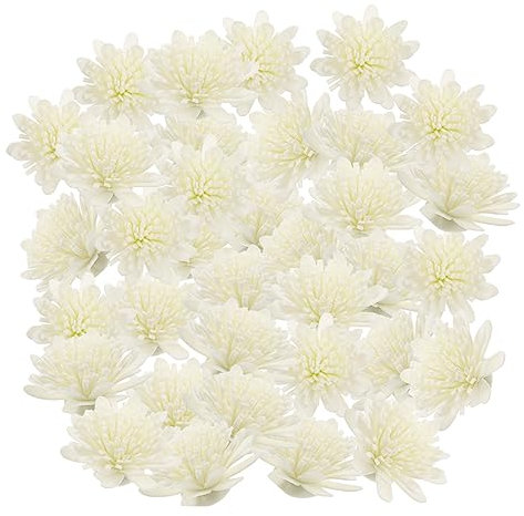 Garneck 100St Blumen der Aromatherapie Heimzubehör Duftdiffusor Fälschung ätherisches Öl Auto Diffusor Aroma Chrysantheme Blüten ätherischer Öle Haushalt schmücken Chrysanthemenduft Weiß