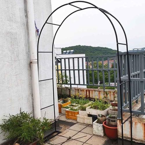 WCQSYY Arco De Jardin para Plantas Arco De Hierro Forjado para Plantas Trepadoras Arco De Rosales para Plantas Trepadoras,Blanca,W3M*H2.2M