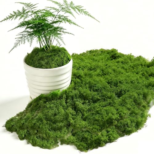 ChaneeHann 200g Musgo Artificial Verde Oscuro, para Pared, Habitación Infantil, Acuario, Maquetas, Plantas Artificiales, Decoración de Habitaciones