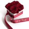ROSEMARIE SCHULZ Heidelberg Infinity Rosen - Blumen 3 Jahre HALTBAR - in weißer Rosenbox mit Satinband in Dunkelrot und Goldschrift (Dunkelrot)
