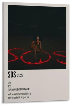 DAGUYS Sänger SZA Album SOS Poster Wandkunst Bild Malerei Poster Leinwand Druck Poster Kunstwerke Raumdekoration 20 x 30 cm
