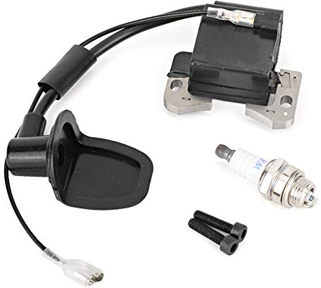 Bobina d'accensione, sostituzione di viti di candela di accensione di Bobina di accensione Motore per ATV Moto Dirt Bike forsepero set mini moto bobina+forsepero set mini moto moto