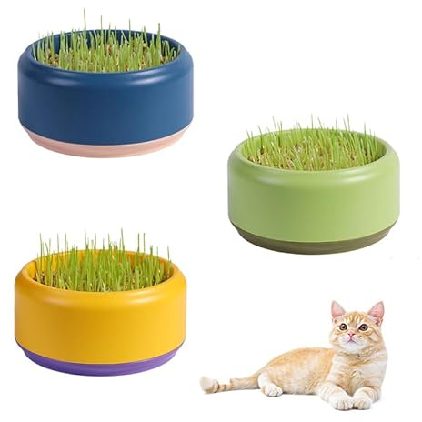 Nexoria Cat Grass Planter Box, Cat Grass Hydroponics Planter Plastic Cat Grass Seed Sprouter Soil Free Cat Plant Planting Box Cat Plant for Indoor or Outdoor Cat (Without Weeds) (3pcs)