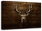 LZIMU Hirsch Leinwandbilder braunes Elchkopf Poster Wildtier Tierbild Jagddrucke Vintage rustikale Bauernhaus Dekoration Gerahmt(Bild-2, (30.00 x 45.00 cms))