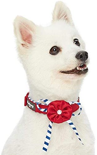 Blueberry Pet Sea Lover Hundehalsband, (13-16.5) Neck * 3/4 Wide, Timeless Sailor Red