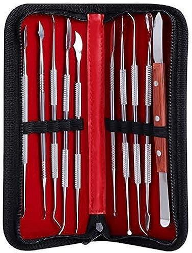 Coolty 10pcs Strumenti per intagliare la Cera, in Acciaio Inox, a Doppia estremità, per scolpire l'argilla, intagliare la Cera Il per Il Trasporto per scolpire i Dettagli, intagliare la Ceramica