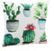 heimtexland ® Outdoorkissen Gefüllt 45x45 Lotus Effekt Garten Lounge Deko Kissen Outdoor Typ741 Kakteen