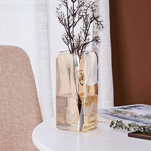 Keramikvase, Moderne und einfache quadratische Glasvase – transparente Galvanisierung, poliert und geschliffen, hydroponische Wohnzimmer-Tischdekoration, Blumenarrangement (23 x 10