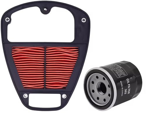 Barre Portatutto Per Kawasaki Per VN900 Per Vulcan Per Classic LT Per Custom 2006-2023 Filtro aria e filtro olio per moto e candela Barre Auto Tetto(Air and Oil Filter)