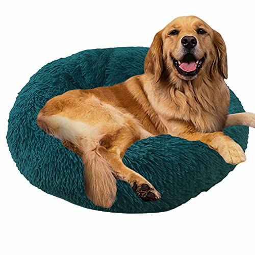 Sedefen Hundebett Rund Plüsch Flauschige Hundekissen Hundesofa Katzenbett,Waschbar rutschfest,Haustier Hundebett für Hunde und Katzen,Türkis,Durchmesser 60cm