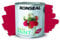 ARUUJ - Garden Paint, Fence Paints, Weather Resistant Outdoor Matt Paints, Water Based Paint For Sheds, Metal, Terracotta, Easy to Apply, Long-Lasting Colour & Protection (Moroccan Red, 250ML)