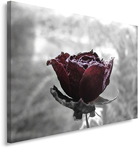 Feeby. Wandbild - 1 Teilig - 80x120 cm, Leinwand Bild Leinwandbilder Bilder Wandbilder Kunstdruck, ROSE, NATUR, ROT, GRAU