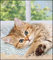 Niedliche Katzenkinder 2023 - Wand-Kalender - Tier-Kalender - 30x34: Cute Cats
