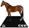 KARAT Puzzle Stallmatte aus Gummi - 182 x 122 cm - wasserdichte Gummimatte mit Drainage für Stall, Pferdebox, Paddock - Pferdematten - Pontiac (Zweiseitiges Interlocking)