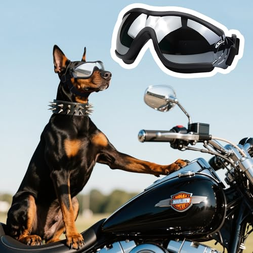 Dwafill Schutzbrille für Hunde, Einstellbar Hunde Sonnenbrille, Hundebrille Schützen Sie die Augen Ihres Hundes, Wasserdicht Winddicht UV-Schutz Brille Hund für Mittel (Black and Silver)