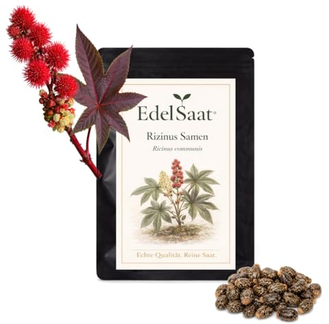 EdelSaat® Rizinus Samen – Wunderbaum Palma Christi - Exotische Zierpflanze mit tropischer Optik für Garten, Balkon & Kübel – Schnell keimend & robust, Große Blätter & Eindrucksvolle Farben (50 Samen)