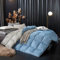 BOtizr Bettdecke-4 Jahreszeiten Bettdecken-Warm 100% Goose Down Duvet,Down Four-Seasons Duvet,All-Season Duvet-Geschenke FüR Jungen Und MäDchen