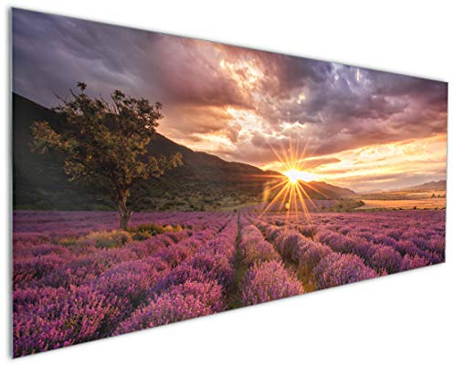 Wallario Küchenrückwand aus Glas 125 x 50 cm, Motiv: Lavendelfeld bei Sonnenuntergang - Sonnenstrahlen | Spritzschutz abwischbar & pflegeleicht