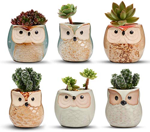 Voarge Vasi in Ceramica (6pz), in Ceramica con Gufo, Vaso per Fiori in Ceramica, per Piante Cactus Vaso per Fiori Vaso per Fiori Fioriera Contenitore Bonsai Vasi con Un Buco Perfetto Idea Regalo