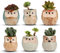 Voarge Vasi in Ceramica (6pz), in Ceramica con Gufo, Vaso per Fiori in Ceramica, per Piante Cactus Vaso per Fiori Vaso per Fiori Fioriera Contenitore Bonsai Vasi con Un Buco Perfetto Idea Regalo