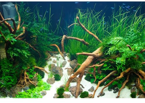 Aquarium Background Various Underwater Grass Plants Aquarium Backdrop Vivid and Fresh Green Aquatic Plants Stone River Bed and Dead Wood Yellow Stone Tank Background Vinyl 24x12in