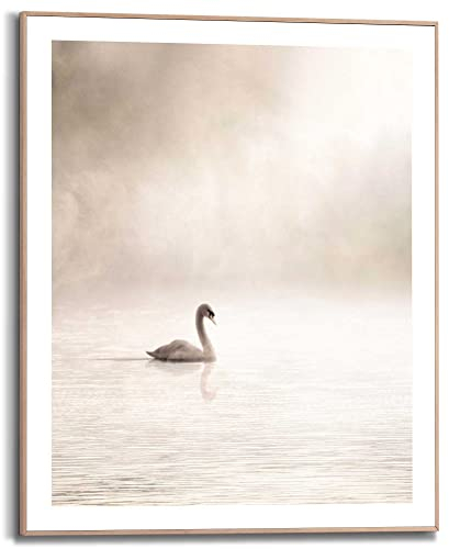 REINDERS Gerahmtes Bild, Schwan im Nebel, Wohnzimmer, Bilder, Wanddeko, Room Decor, MDF, Beige, 50x40cm