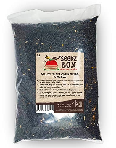 Sunflower Seeds Birds Food 1kg - Seedzbox Deluxe Black Sunflower Seeds For Wild Garden Birds - High in Fat Protein Vitamin B and Calcium - Vital for Bird Health