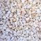 Elixir Gardens Decorative White Marble Stones Gravel Chippings Pebbles Cobbles Paddlestones Aggregate Various Sizes 1kg-1000kg | (1kg Sample, White Marble)