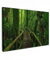 MuchoWow© Leinwandbild Groß 120x80 cm XXL Dekoration Wohnzimmer Bilder Aufhängen Wall Decoration Living Room Wohnungs Deko Moderne Dschungel - Brücke - Moos - Natur - Grün