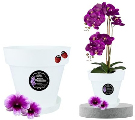 LiveLaif® - 1pcs Ø21 cm Pot Orchidée Transparent Translucide | Au Choix : Taille et Unités | Pot Transparent Orchidée (1, XL-Ø21 cm)