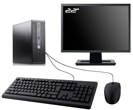 PC HP ProDesk 400 G3 SFF Display 22 Intel G4400 RAM 8GB SSD 250GB WiFi W11 (ricondizionato)