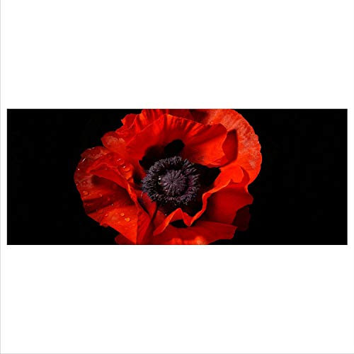 decorwelt Glasbild 125x50 XL Mohnblumen Rot Panorama Wandbild Glasbilder Modern Deko Glas