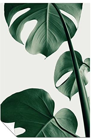 Panther Print Fine Art Prints Grüne Monstera-Pflanze, 2 Blätter, künstlerisches ungerahmtes Poster, Bilder für Wände, Schlafzimmer, Wohnzimmer und Badezimmer, 91 x 61 cm