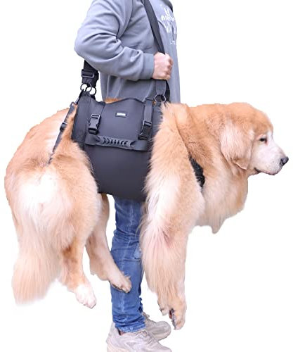 Hundehebegeschirr für große Hunde, Ganzkörper-Hundetragetasche mit Griff, zur Unterstützung der Hinterbeine/Gelenkverletzungen/Arthritis von Hunden (Schwarz, XL)